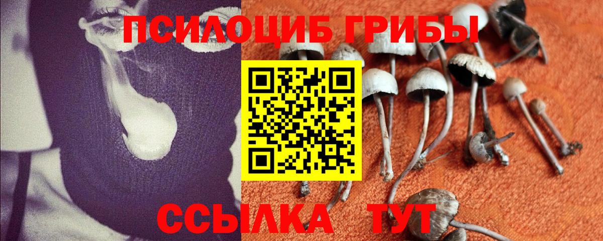 Казань  Галлюциногенные грибы мицелий  цены   Вход с VPN 